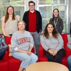 Group of colleagues posed on red chairs inside office space